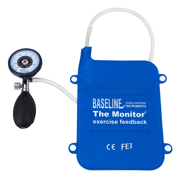 Baseline The Monitor exercise feedback device