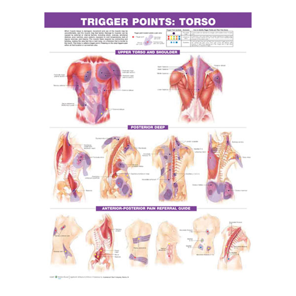 Trigger Point Chart Set "Torso & Extremities"