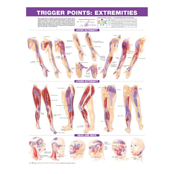 Chart "Knee injuries"