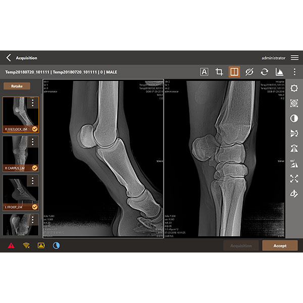 Portable Equine imaging workstation MyVet Citation DR