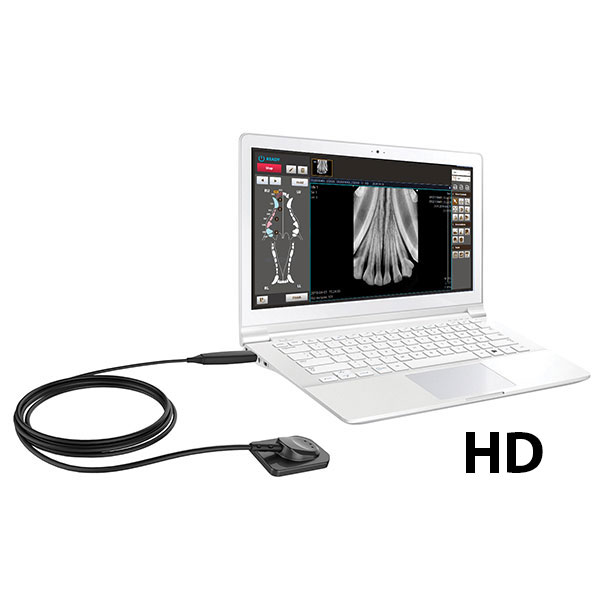 Intraoral Imaging with CMOS sensors EzSensor HD Vet