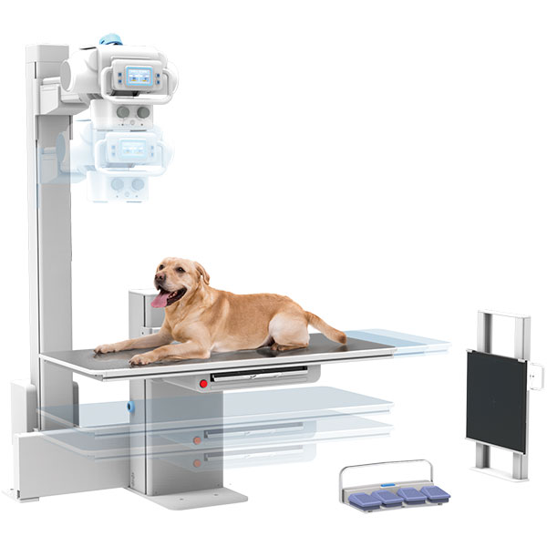 MyVet i72W x-ray system