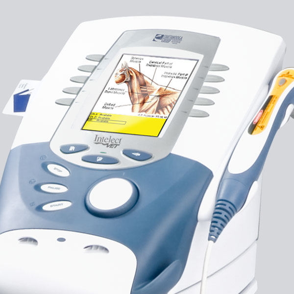 Intelect Vet Electrotherapy system for Veterinarian