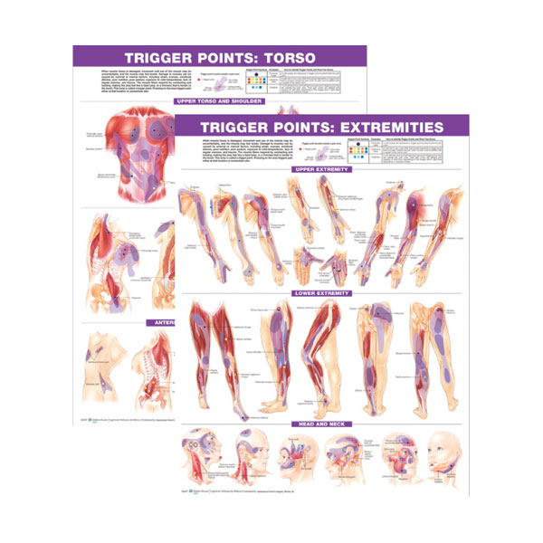 Trigger Point Chart Set "Torso & Extremities"